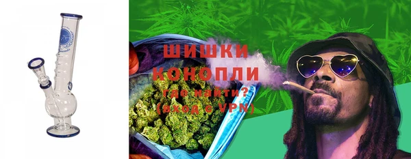 сатива Мегион
