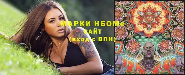 сатива Мегион