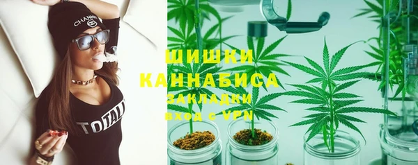 сатива Мегион